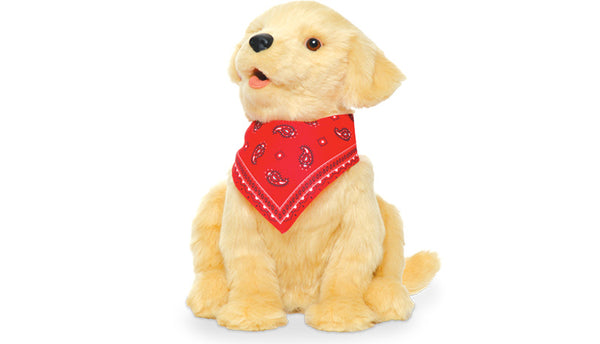 Companion Pup